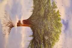 WhatsApp-Image-2023-07-10-at-1.03.31-PM-2